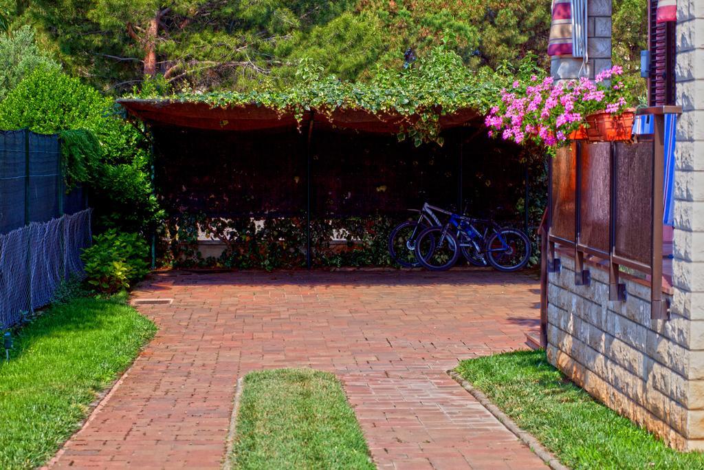 Apartments Daniela Novigrad Istria Exterior foto